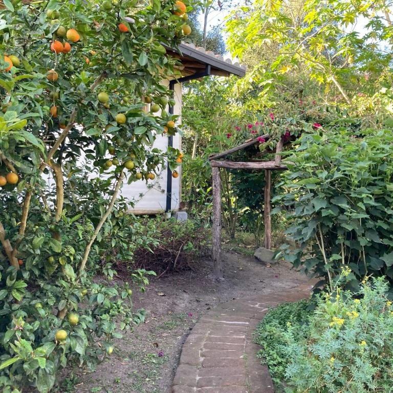 Casa Semilla - Casa de 2 dormitorios - 8