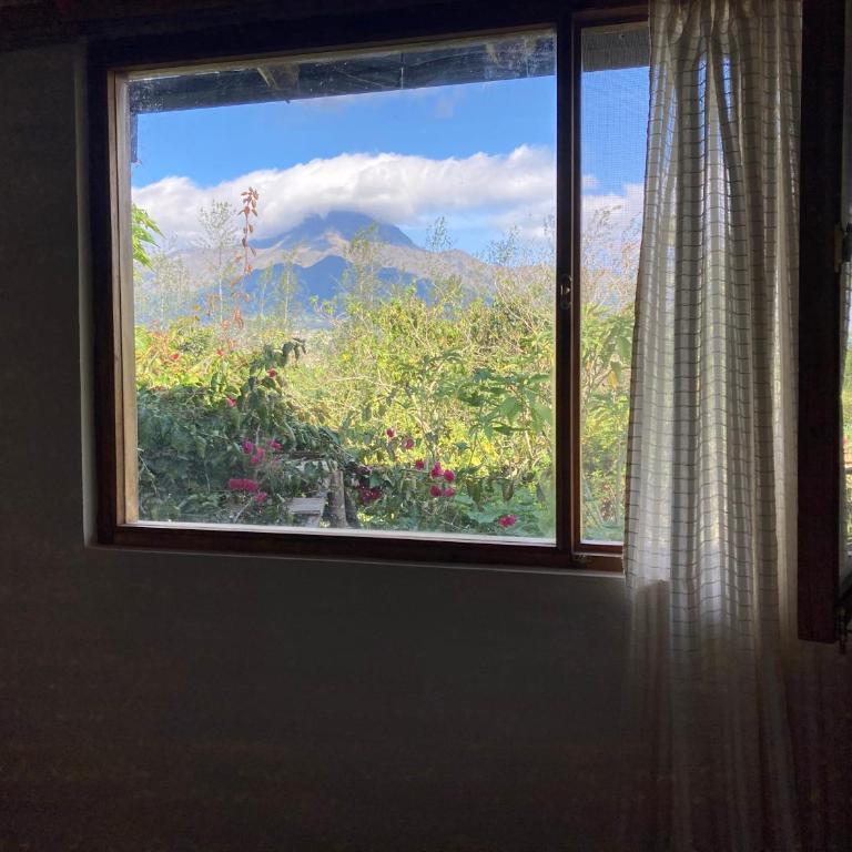 Casa Semilla - Casa de 2 dormitorios - 14