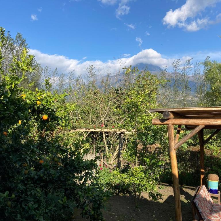 Casa Semilla - Casa de 2 dormitorios - 15