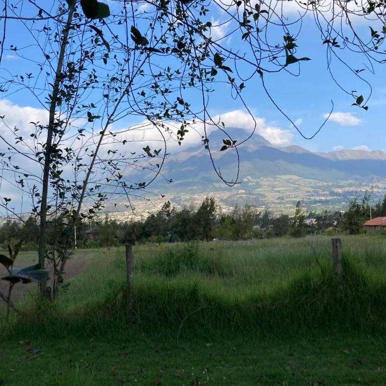 Casa Semilla - Casa de 2 dormitorios - 16