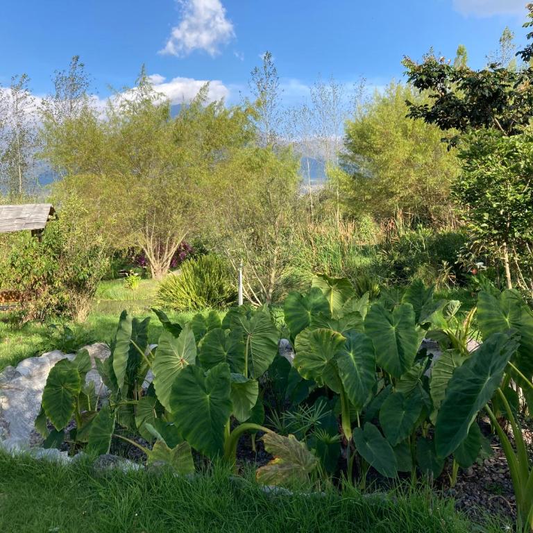 Casa Semilla - Casa de 2 dormitorios - 17