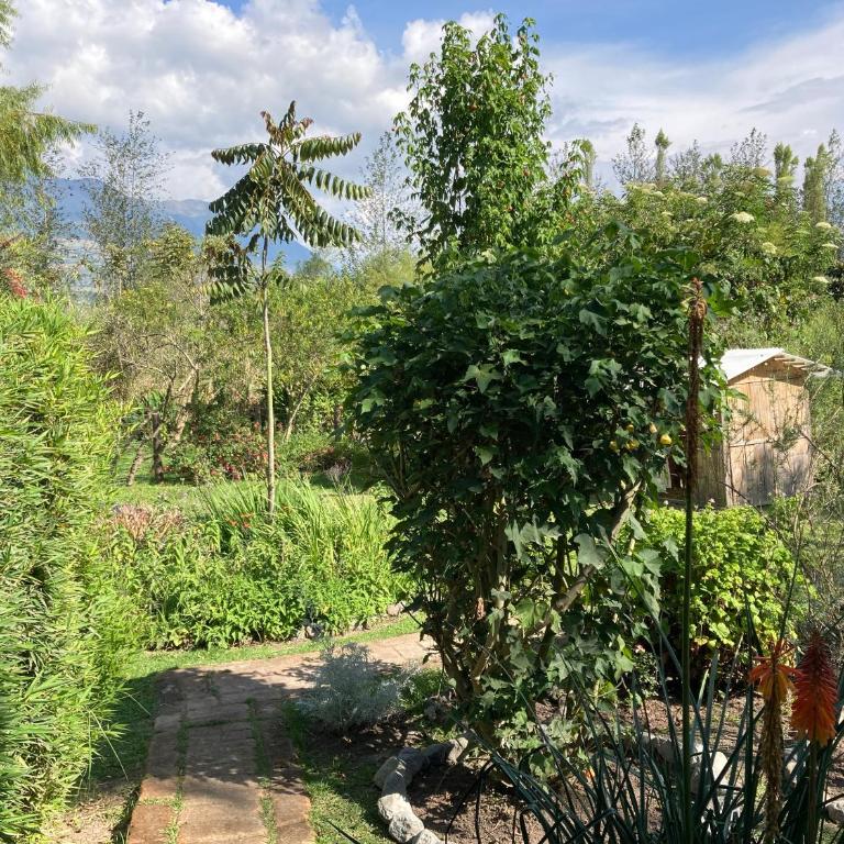 Casa Semilla - Casa con 1 dormitorio - 6