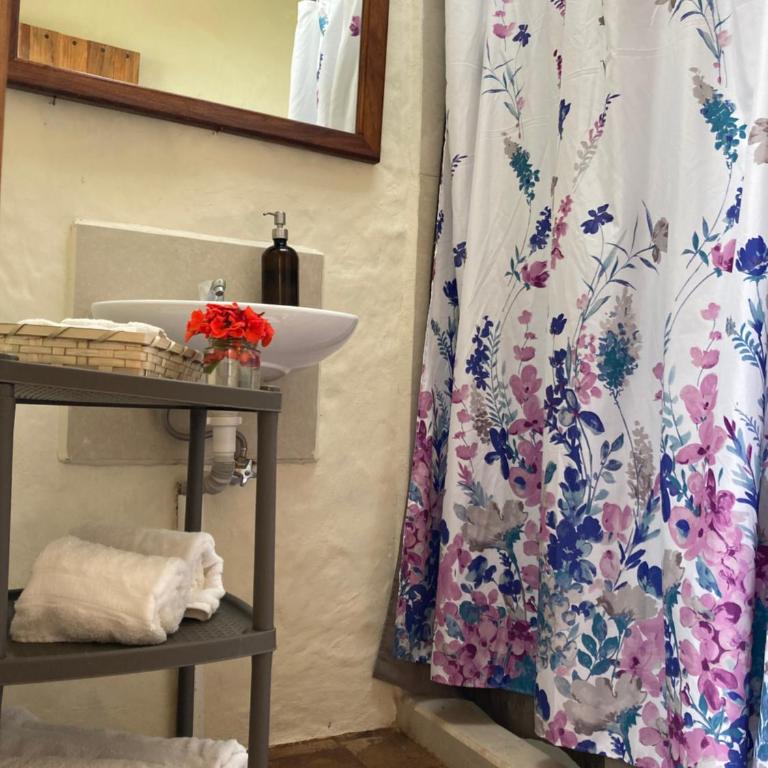 Casa Semilla - Casa con 1 dormitorio - 12