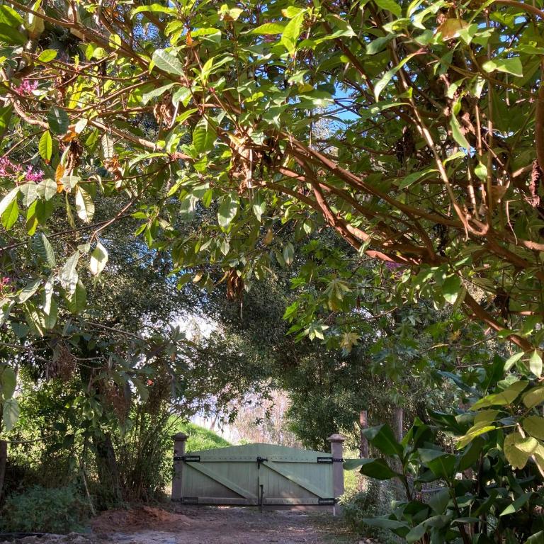 Casa Semilla - Casa de 2 dormitorios - 21