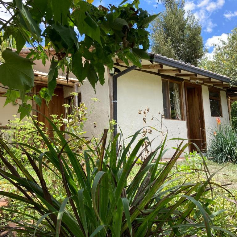 Casa Semilla - Casa con 1 dormitorio - 17