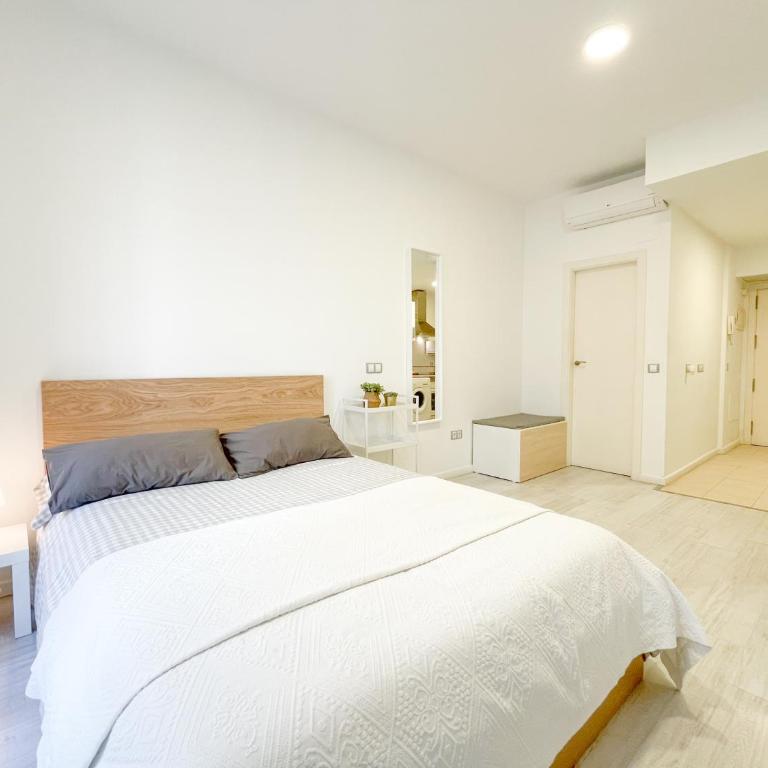 Estudio Malaga centro 2 - Apartamento de 1 dormitorio - 28