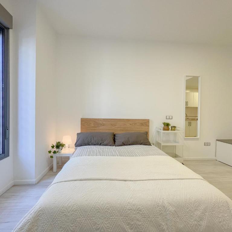 Estudio Malaga centro 2 - Apartamento de 1 dormitorio - 6