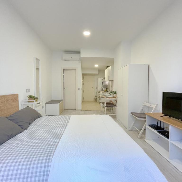Estudio Malaga centro 2 - Apartamento de 1 dormitorio - 27
