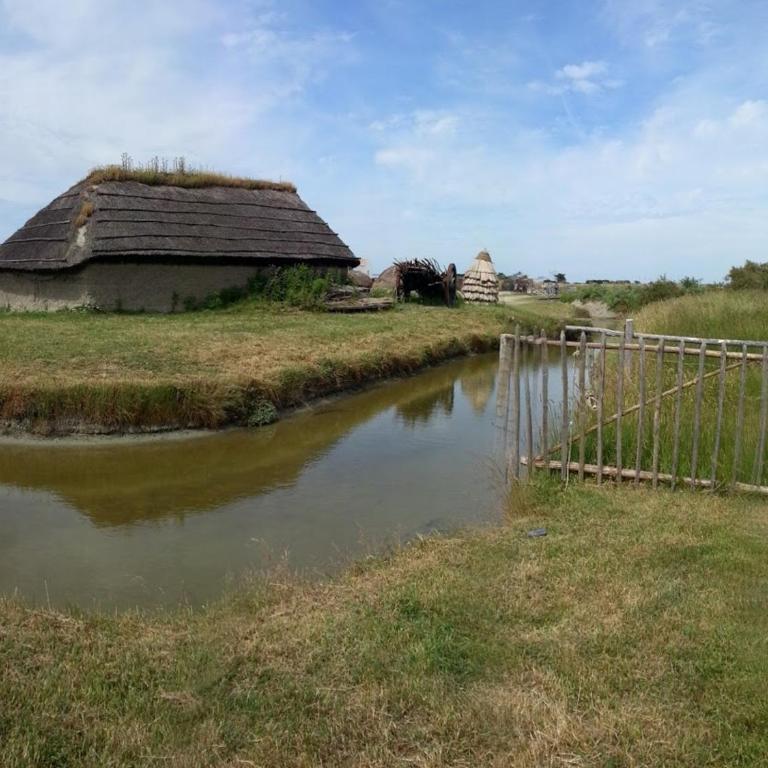 Studio Confortable pour 3 à Saint Jean de Monts, Proche Plage - FR-1-323-459 - Studio - 20