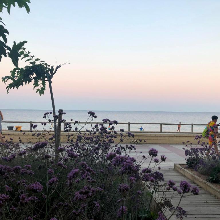 Blanes Bliss Apt - Apartamento de 2 dormitorios - 45