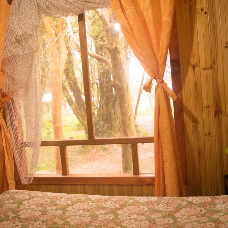 Mae Joa Turismo - Cabañas & Camping Familiar - Bungalow de 2 dormitorios (5 adultos) - 16