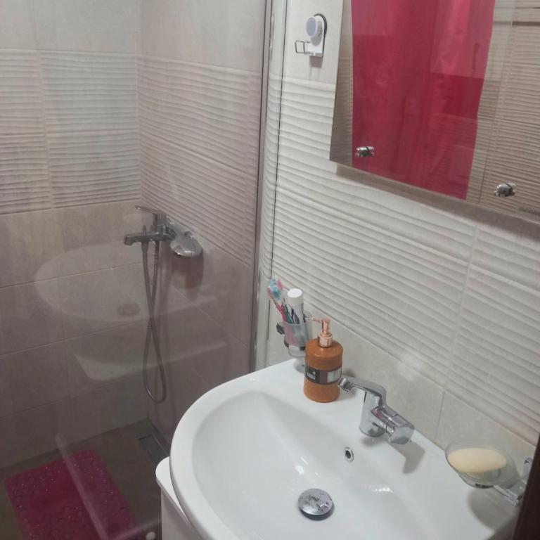 Apartment Dajana - Apartman sa 2 Spavaće Sobe - 19