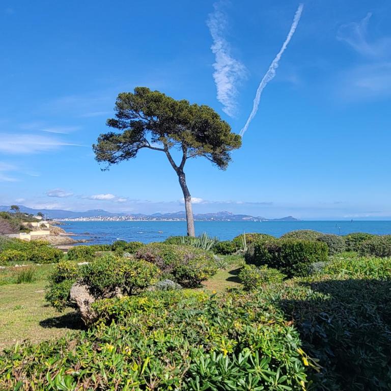 Le Serenity : mer, calme et tranquillité - Two-Bedroom Apartment - 1