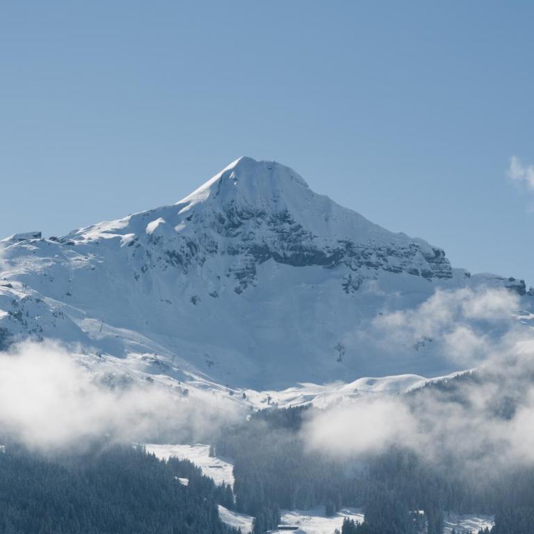 The Terrace Apartment - GRINDELHOMES - Appartement 3 Chambres - 36