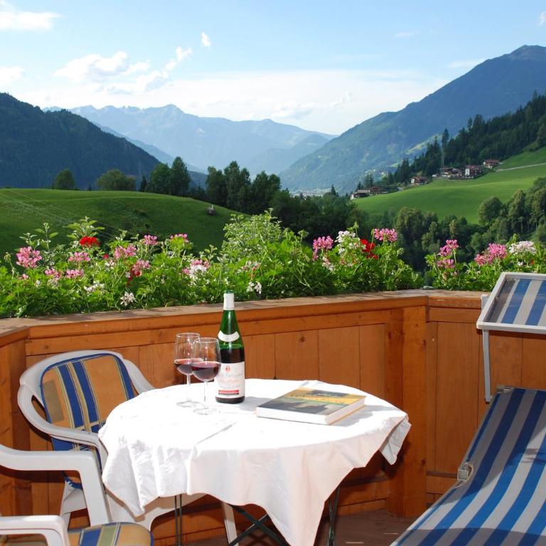 Blaserhof Hainzenberg - Apartment mit 1 Schlafzimmer und Dusche - 14