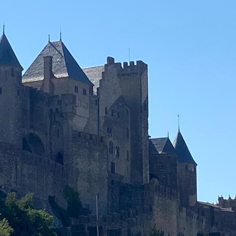 Au pied de la Cité Médiévale, piscine, vue extraordinaire, gîte La Trivala à Carcassonne - Maison 4 Chambres - 35