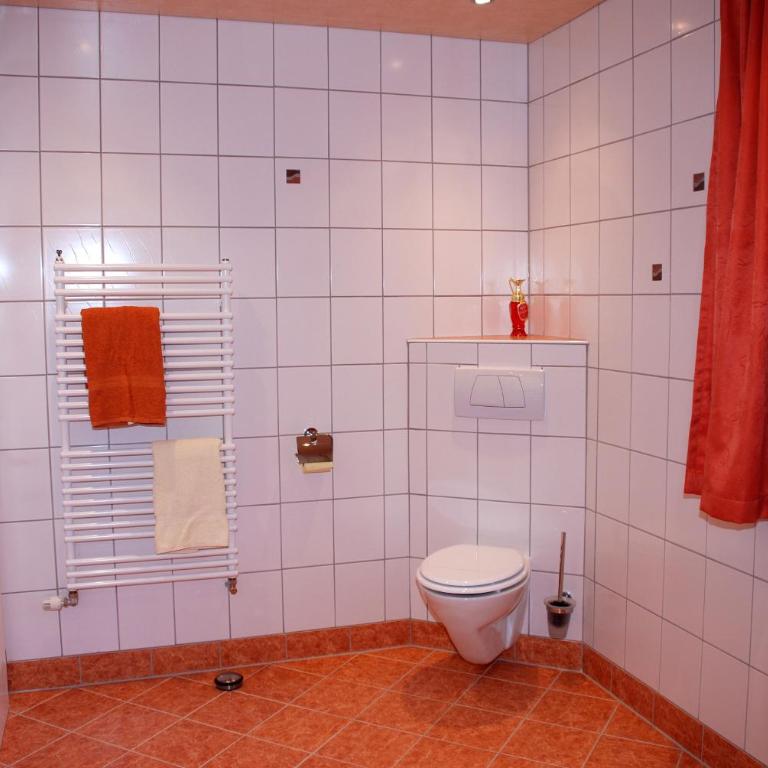 Blaserhof Hainzenberg - Apartment mit 1 Schlafzimmer und Dusche - 6
