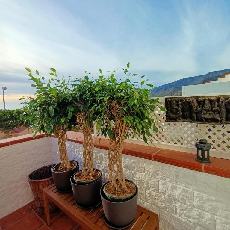 Costa Adeje Topfloor corner panoramics views & pools - Apartamento de 2 dormitorios - 39