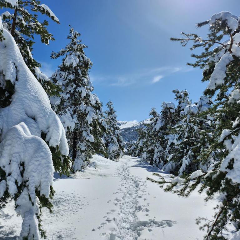 Gréolières Les Neiges - Apartment mit 2 Schlafzimmern - 53