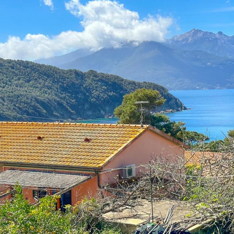 Appartamenti Viticcio Aurora e Fiorita - Goelba - Appartamento con 2 Camere da Letto - 1