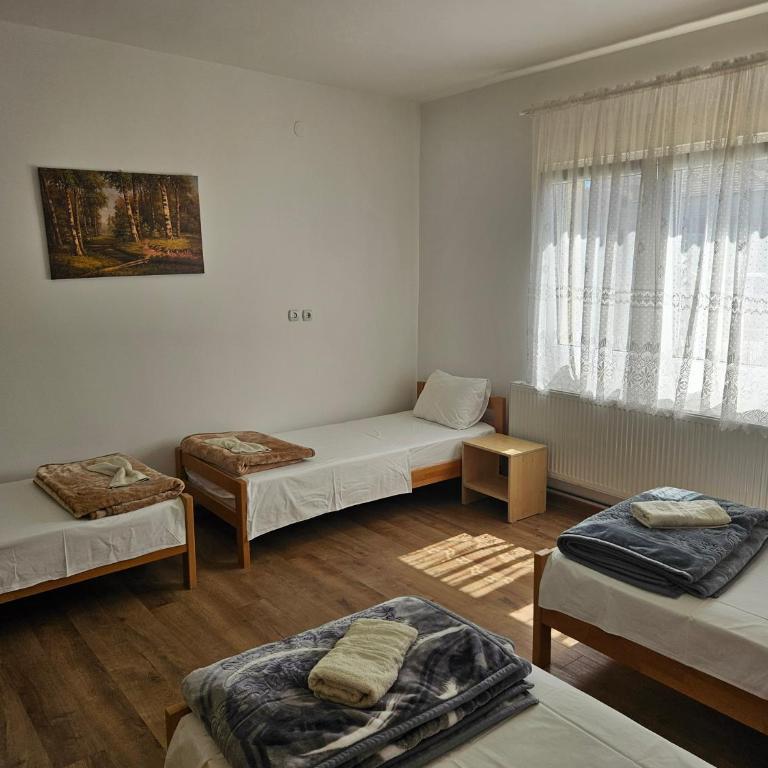 Apartments Kuca Aleksic - Apartman - Prizemlje - 11
