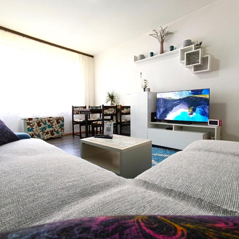 Flamingo 365 - near city center with free parking - Apartman - 3