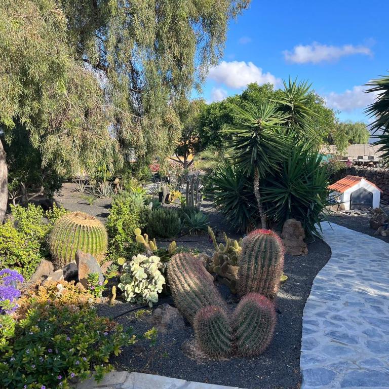 Home2Book Casa Julianna, Dream Oasis with Pool - Casa de 3 dormitorios - 27