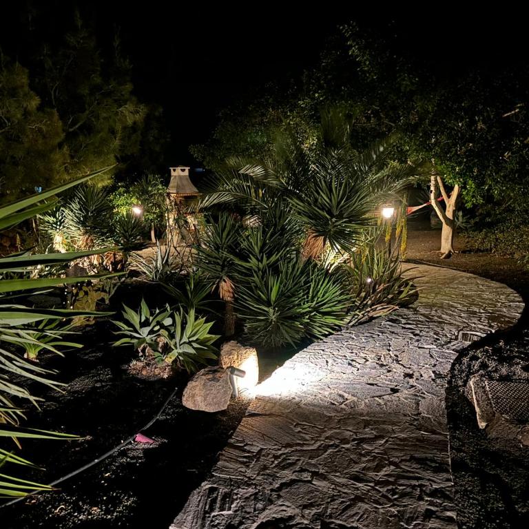 Home2Book Casa Julianna, Dream Oasis with Pool - Casa de 3 dormitorios - 39