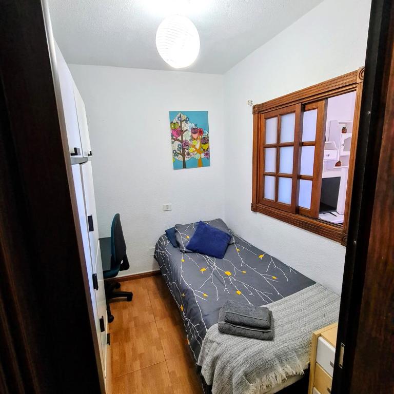 Icod de los Vinos Centro - Apartamento de 3 dormitorios - 17