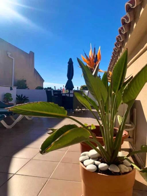 A2401 Penthouse Torrecilla Beach, La Cala de Nerja II, Nerja - Apartamento de 2 dormitorios - 27