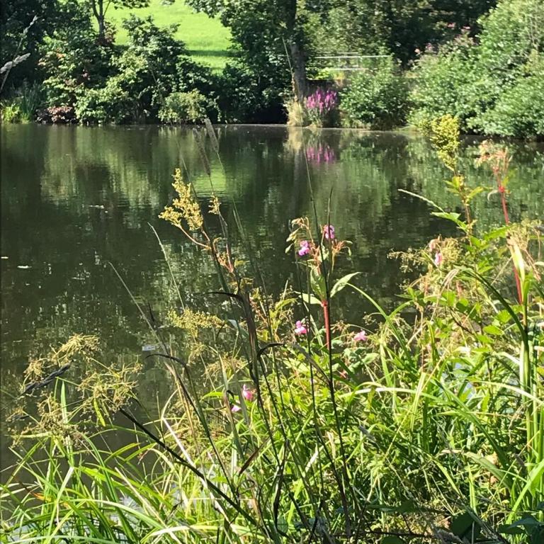 Ferienwohnung mit Schwimmbad Ruheoase - Apartment mit 1 Schlafzimmer - 31