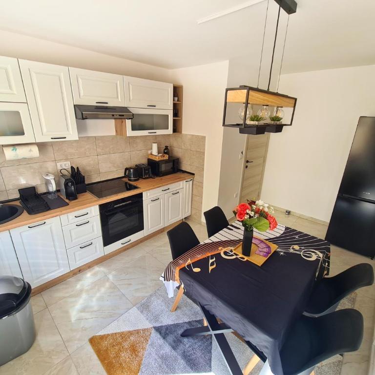Apartman Berlin Sokobanja 2 - One-Bedroom Apartment - 30