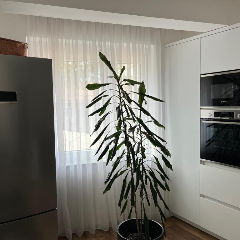 Apartman My Choice - One-Bedroom Apartment - 8