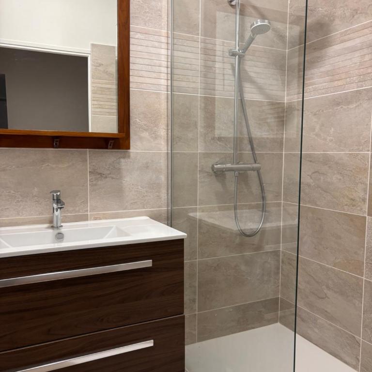 Le Petit Plume, 5 minutes du Zoo de Beauval - Three-Bedroom Apartment - 20