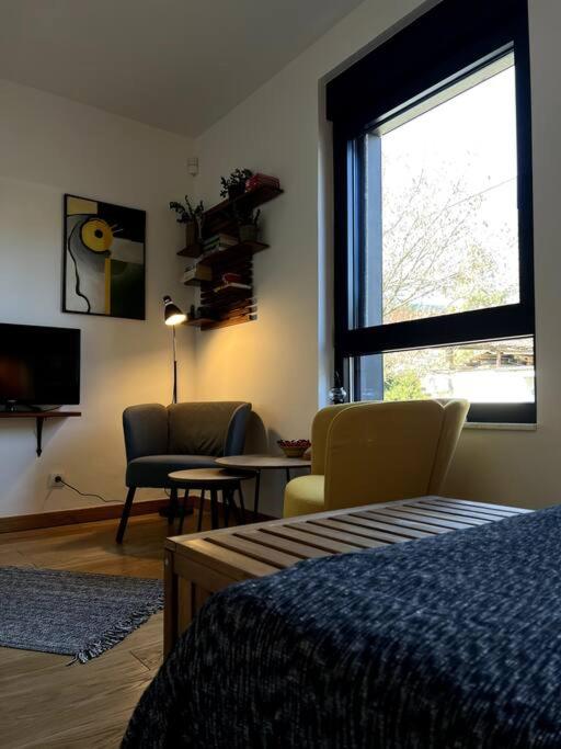 Cozy stay near the city center - Apartman sa 1 Spavaćom Sobom - 4