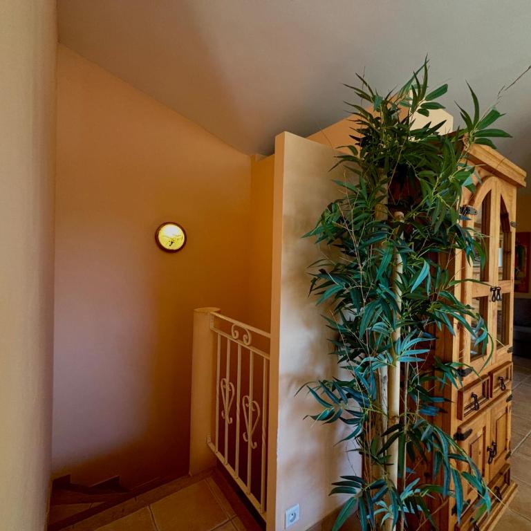 Apartment Pioppa for 4 - Maison 1 Chambre - 16