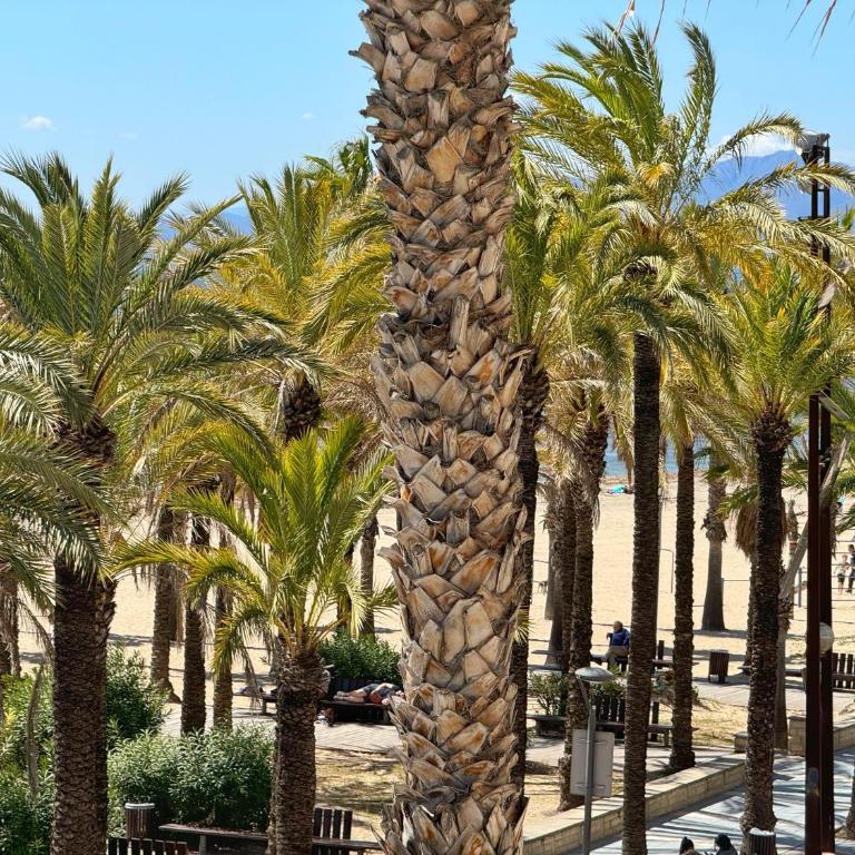 DOMuum Holidays - STELLA MARIS - Apartamento de 1 dormitorio - 3
