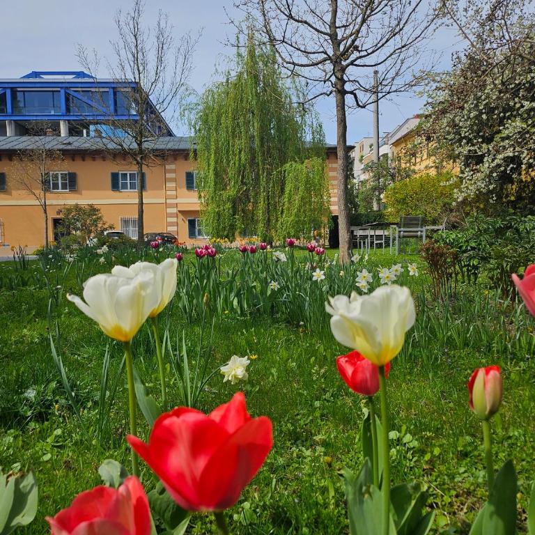 Golden Flat by GrazRentals Terrace & Garden View & Free Parking - Apartment mit Gartenblick - 19