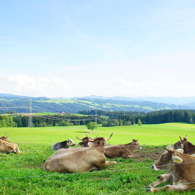 RELAX - APPARTEMENTS Allgäu I Berge I Familien I Paare I Business I Wellness I WLAN I Parkplatz - Appartamento con 1 Camera da Letto - 4