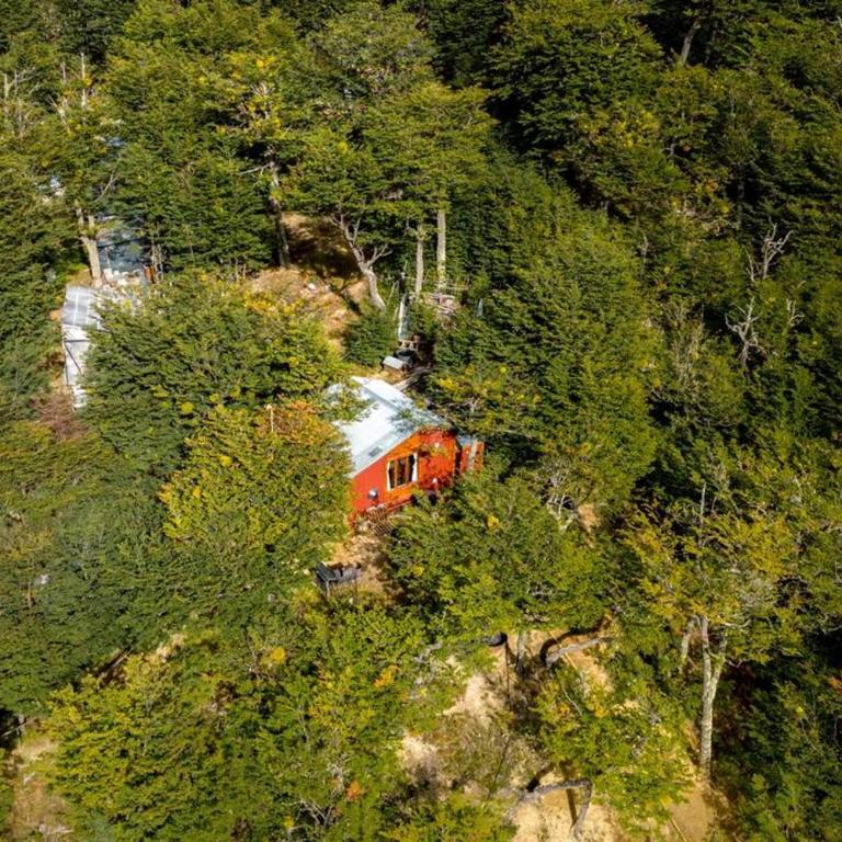 Cabaña en el Bosque con Cine Privado y Jacuzzi - Chalet de 1 dormitorio - 13