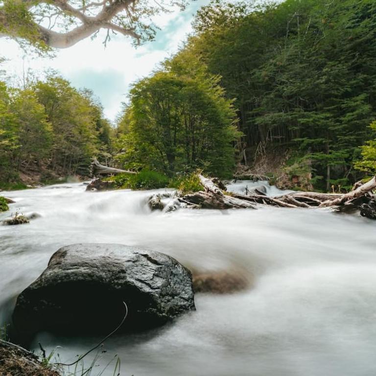 Cabaña en el Bosque con Cine Privado y Jacuzzi - Chalet de 1 dormitorio - 15