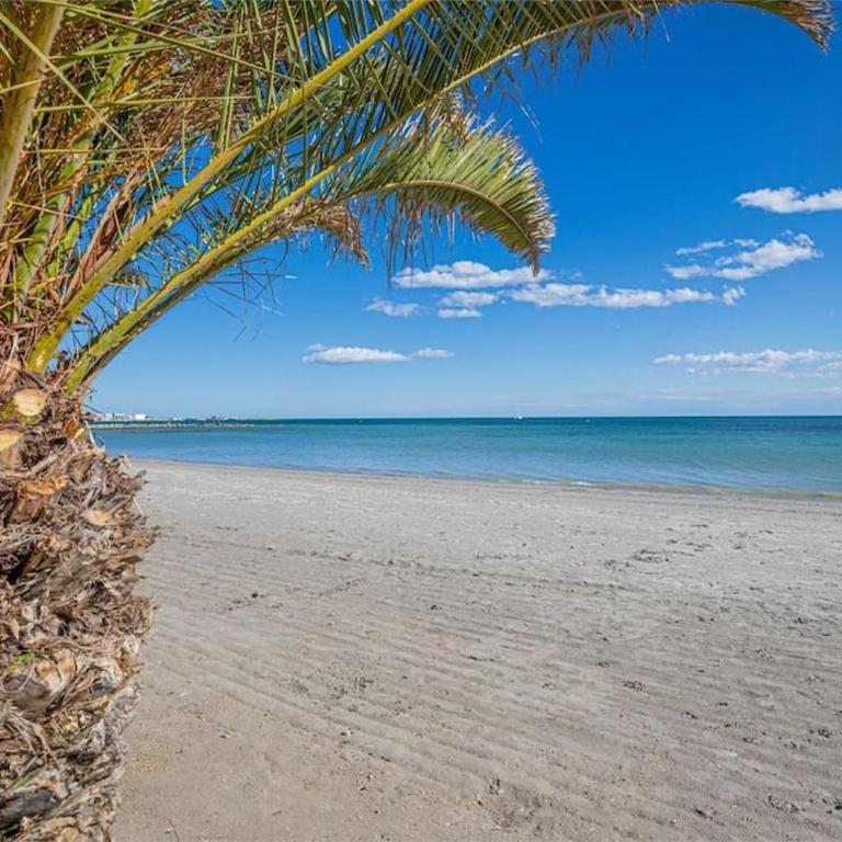 Beach View Apartment Santa Pola - Apartamento de 2 dormitorios - 5