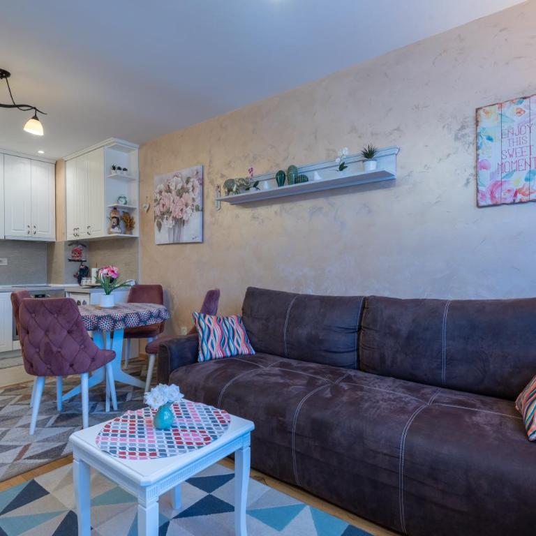 Pin Vert Zlatibor - Apartman sa 1 Spavaćom Sobom - 4