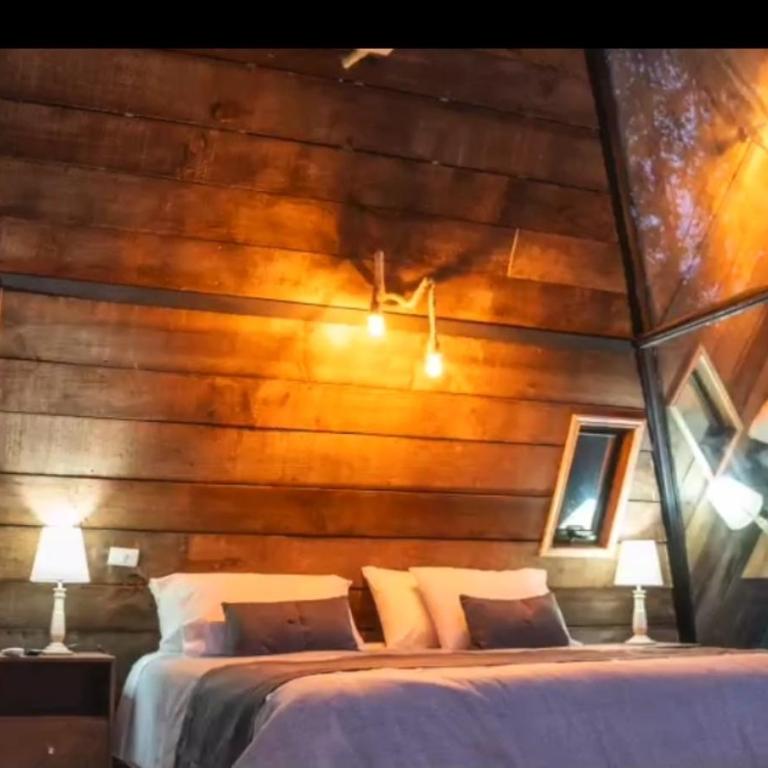 Cabañas Boutique Aires del Toro, Curacaví - Suite Superior - 8