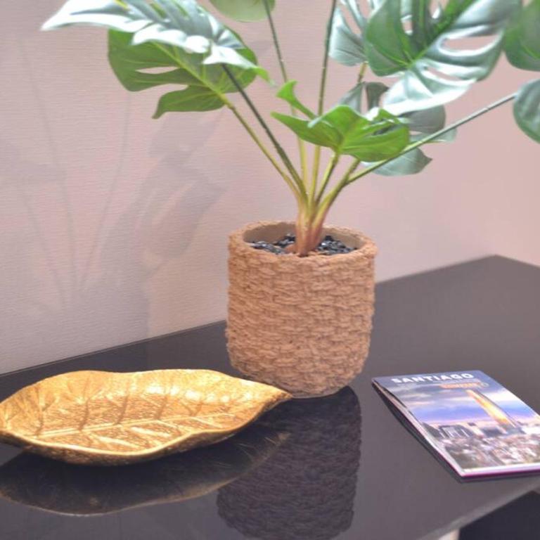 Hermoso y acogedor apartamento en Santiago - Apartamento de 1 dormitorio - 15