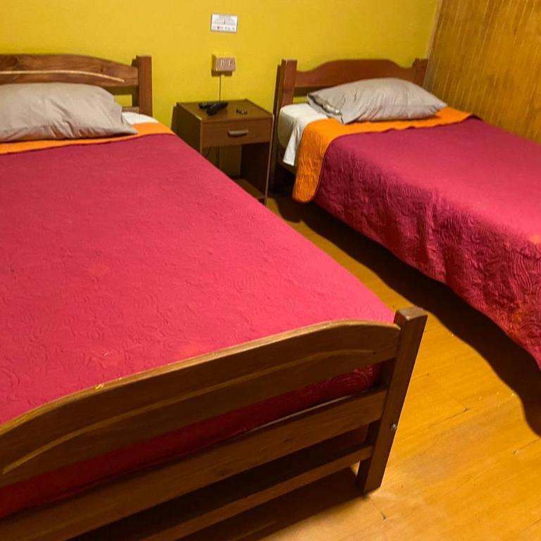Hostal Radal Molina - Habitación Doble - 2 camas - 5