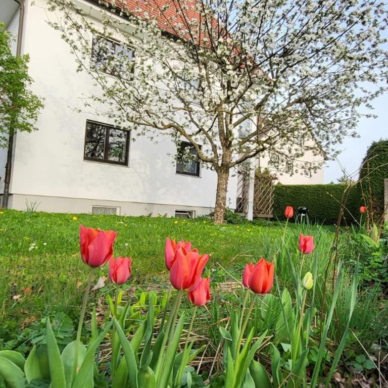 Allgäu Retreat - Apartment mit 3 Schlafzimmern - 23