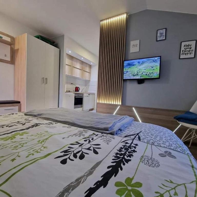 Studio apartmani Milović - Apartman sa 1 Spavaćom Sobom - 10