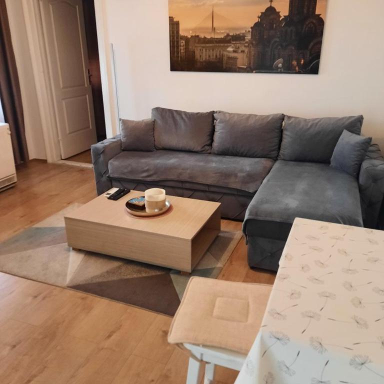 Flat in Belgrade city center, 45m2 - Apartman sa 1 Spavaćom Sobom - 1