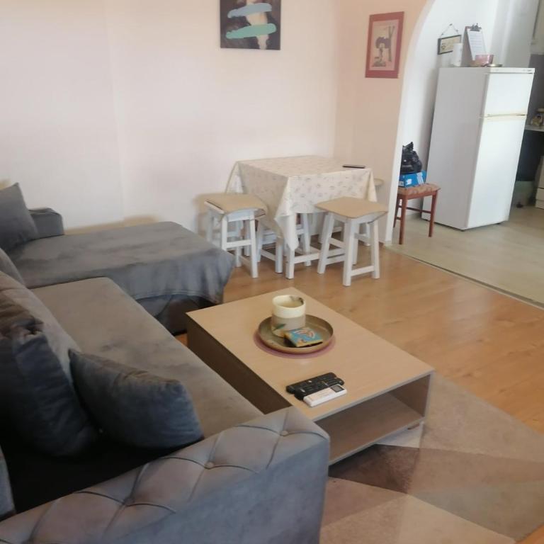 Flat in Belgrade city center, 45m2 - Apartman sa 1 Spavaćom Sobom - 2